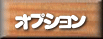 オプション 