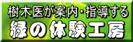 ������`���؈オ�ē��E�w������ 