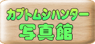 �ʐ^�� 