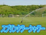 キャンプ場