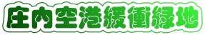������`�ɏ՗Βn 