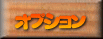 オプション 