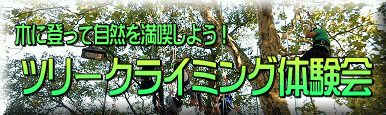 木に登って自然を満喫しよう！