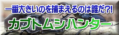 一番大きいのを捕まえるのは誰だ?!