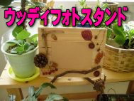キャンプ場イベント