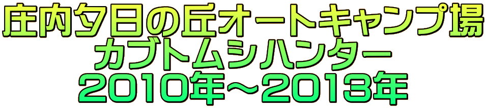 [̋uI[gLv JugVn^[ 2010N`2013N