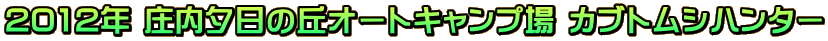 2012N [̋uI[gLv JugVn^[