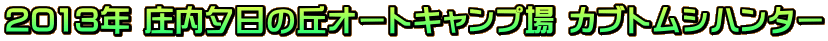 2013N [̋uI[gLv JugVn^[