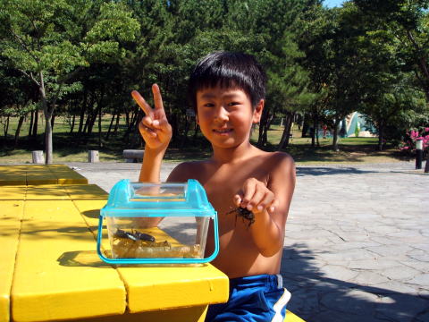 カブトムシ クワガタ キャンプ場