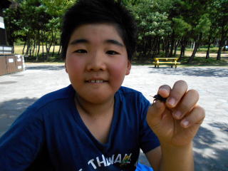 JugV@NK^@Lv