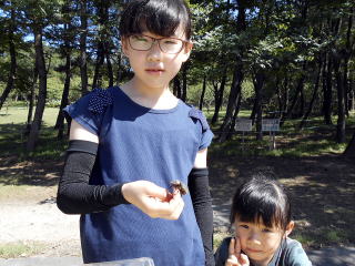 カブトムシ クワガタ キャンプ場