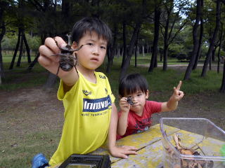 カブトムシ クワガタ キャンプ場