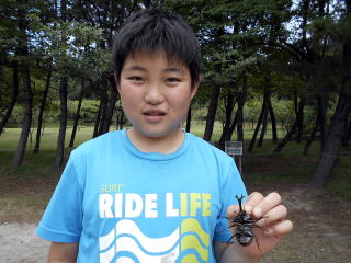 カブトムシ クワガタ キャンプ場