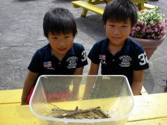 山形県 キャンプ場 カブトムシ
