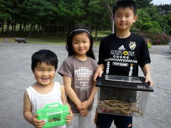山形県 キャンプ場 カブトムシ