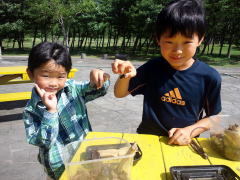 山形県 キャンプ場 カブトムシ