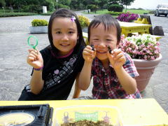山形県 キャンプ場 カブトムシ