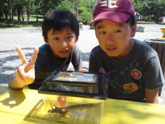 山形県 キャンプ場 カブトムシ