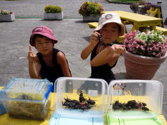 山形県 キャンプ場 カブトムシ