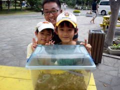 山形県 キャンプ場 カブトムシ