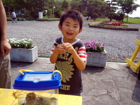 カブトムシ クワガタ キャンプ場