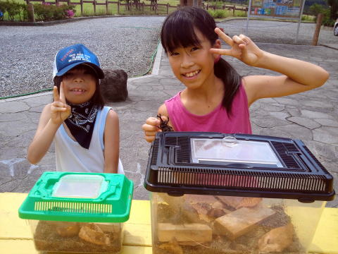 山形県 キャンプ カブトムシ