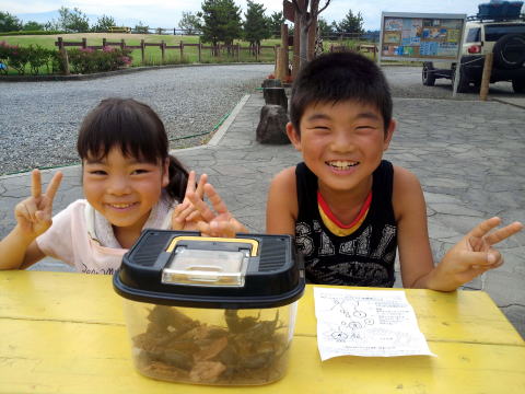 山形県 キャンプ カブトムシ
