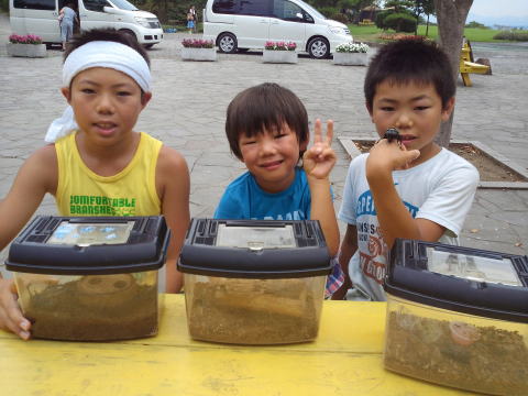 山形県 キャンプ カブトムシ