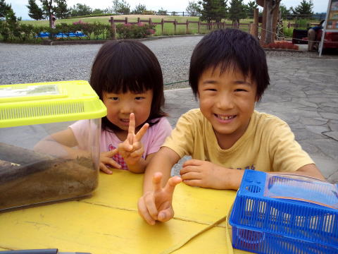 山形県 キャンプ カブトムシ