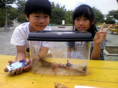 カブトムシ クワガタ キャンプ場