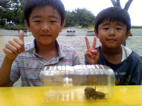 カブトムシ クワガタ キャンプ場