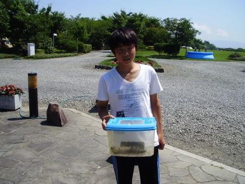 カブトムシ クワガタ キャンプ場