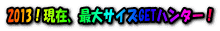 2013I݁AőTCYGETn^[I